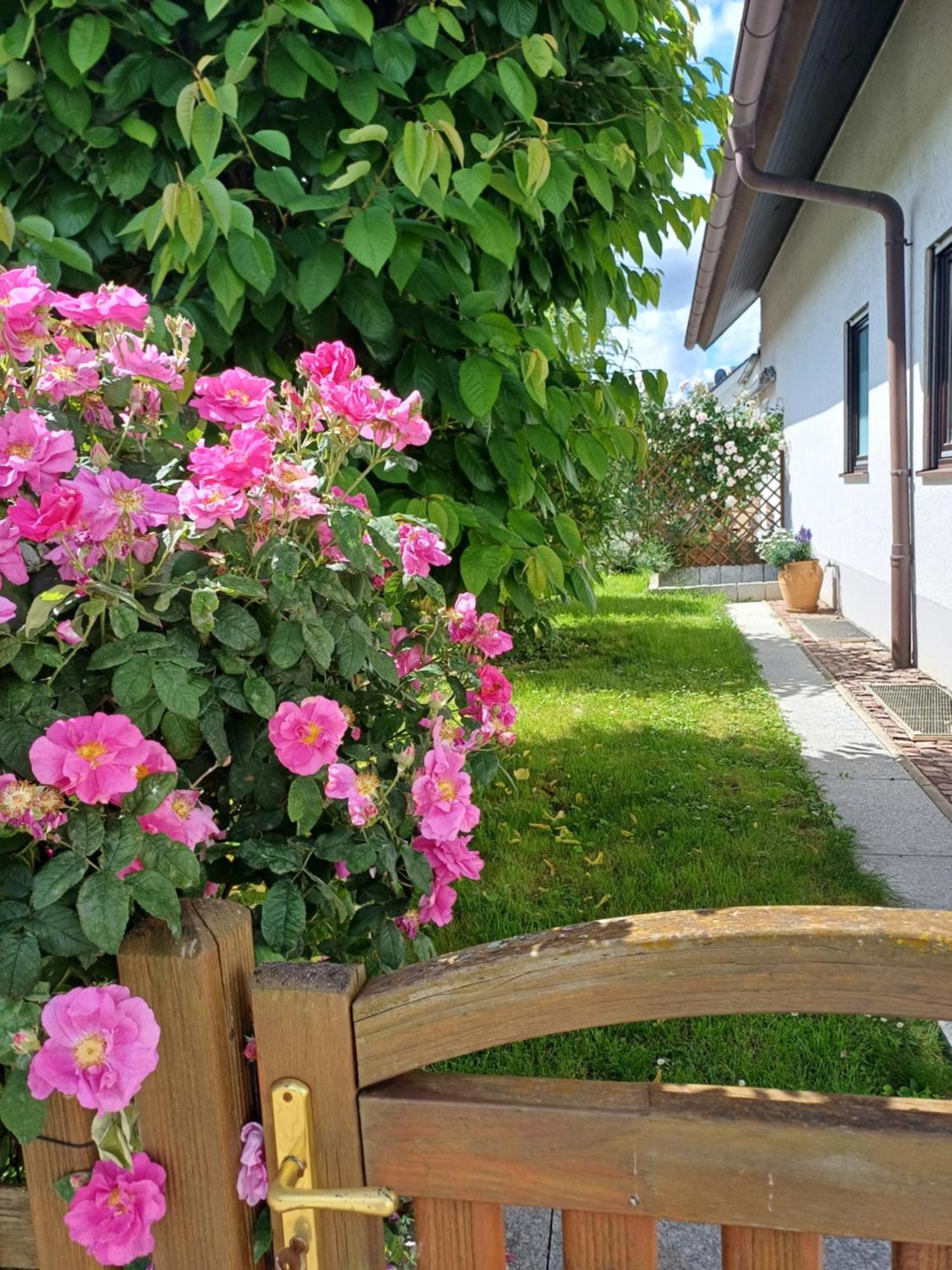 Ferienwohnung Unter Dem Sonnberg Auggen Exterior foto